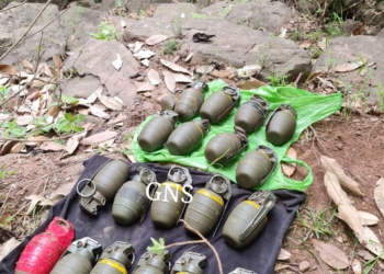 J&K Police recovered 19 Grenades