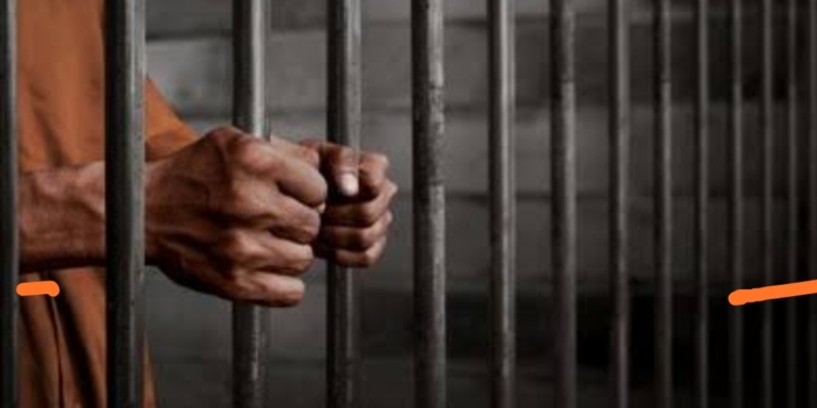South Kashmir man walks free from Hiranagar Jail
