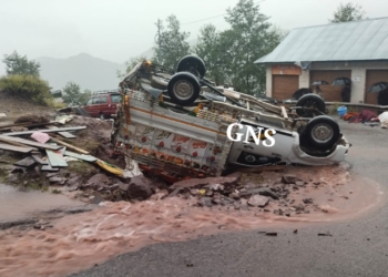 Mother-son duo among 3 killed, 4 Injured as load carrier turns turtle in UT J&K