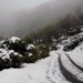 Aharbal, Pahalgam, Shopian, Pulwama Gets Season’s First Snowfall