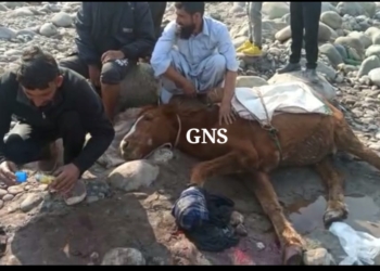 UT J&K: Mine Blast, Horse Injured