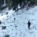 Militant Killed In An Ongoing Encounter