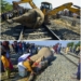 Two elephants died after colliding with a train