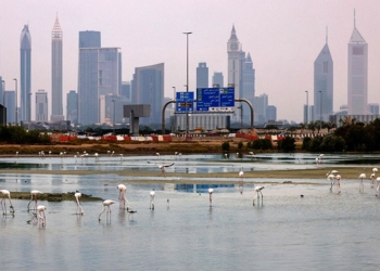 Gulf Arab countries on alert for heavy rains