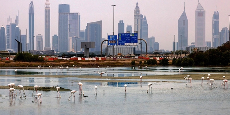 Gulf Arab countries on alert for heavy rains