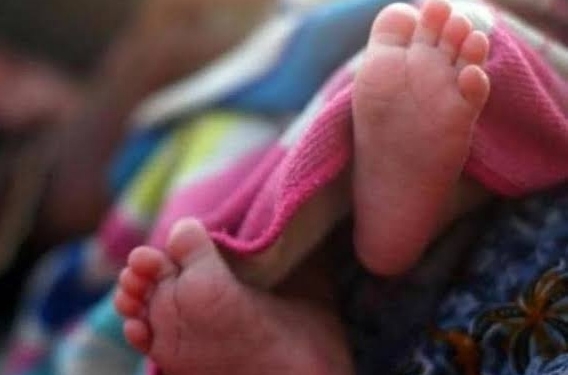 News Regarding New born death incident Lal Ded Hospital Srinagar