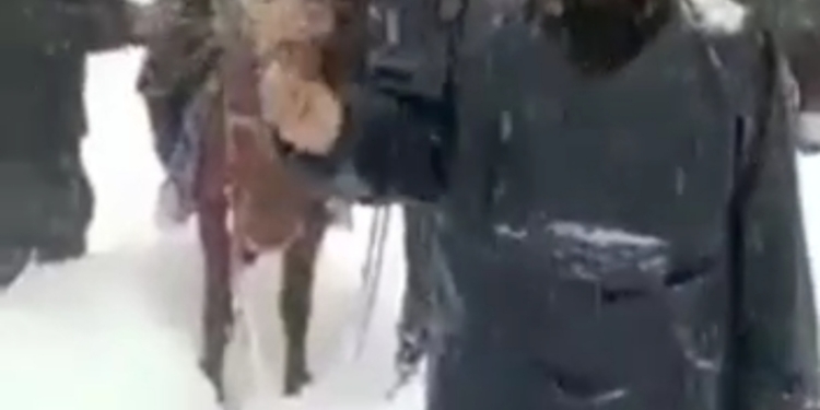 Watch Video: Locals Carry Pregnant Woman On Shoulders, Horse Through Knee-Deep Snow In Kupwara