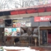 Restaurant gutted in Srinagar city