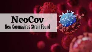 “NeoCov”: Deadlier Type Of New Coronavirus; New Kind Of Coronavirus From Bats; 1 in 3 infected people die…..