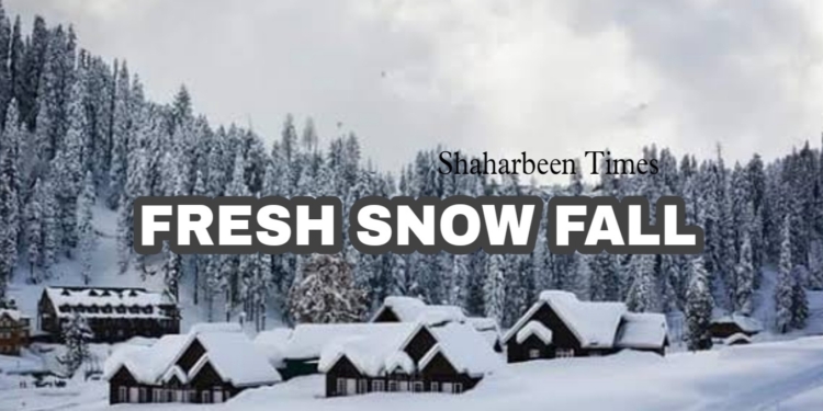 Famous resorts in Kashmir received fresh snowfall while rains lashed plains