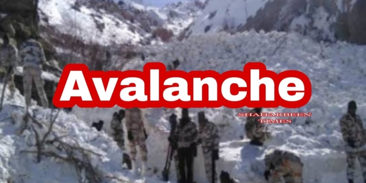 7 Army Officials Hit By Avalanche Search and rescue operations on