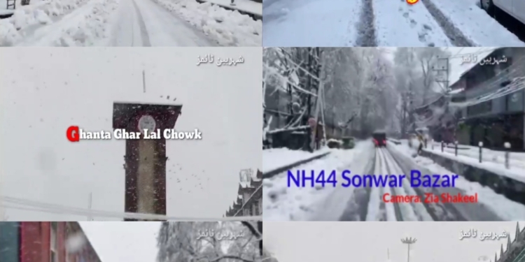 Watch Fresh Snowfall In Srinagar: Train Services Suspended