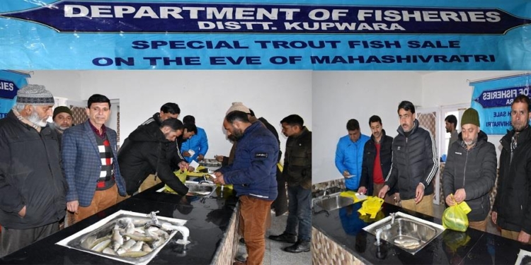 Trout Fish sale on Maha-Shivratri eve at this district in Kashmir