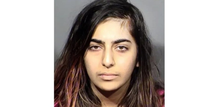Woman in US stabs man during date in revenge for Qassem Soleimani killing: Police