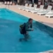 Video: Alex Carey falls in hotel pool, leaving Australian………….
