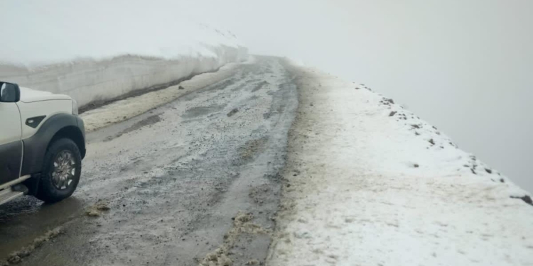 Watch Video Fresh Snowfall In Kashmir