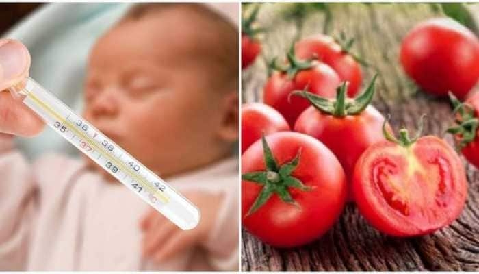 Tomato Fever: Don’t make these ‘MISTAKES’, otherwise it can cost your child dearly,The health department