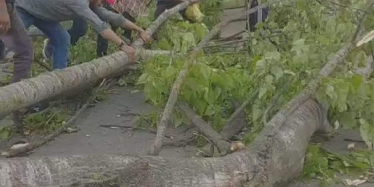 Watch: Gusty Winds Wreak Havoc In Kashmir Parts,Rooftops Bown Off, Trees Uprooted, 2 Vehicles Damaged