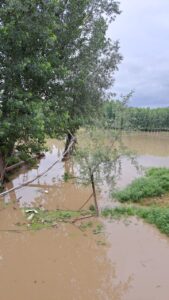 Incessant Rains: Flood like situation in Kashmir; 2 feared dead, all highways closed, Jehlum roars again