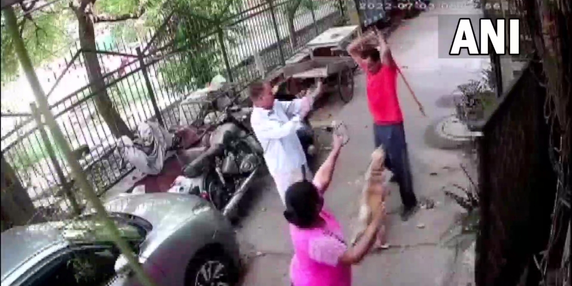 Man hits pet dog, owner with iron rod in broad daylight; here’s what happened next: Watch