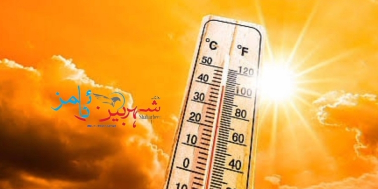 Extreme heatwave grips Ladakh, Kargil records a high temperature