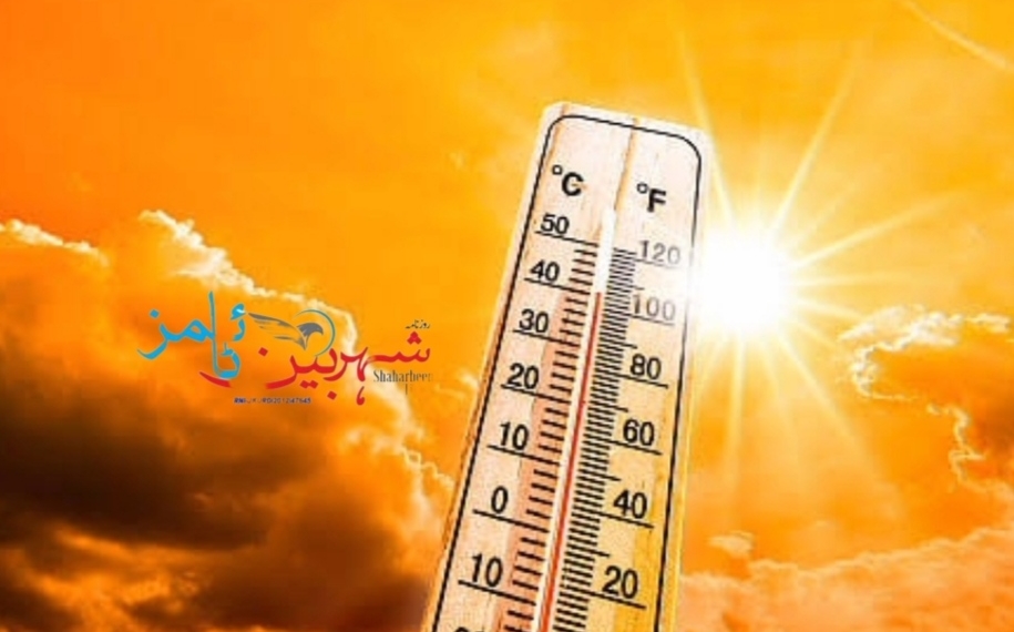 Extreme heatwave grips Ladakh, Kargil records a high temperature