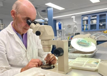 Scientists discover molecules that can repair damaged cells, reverse ageing