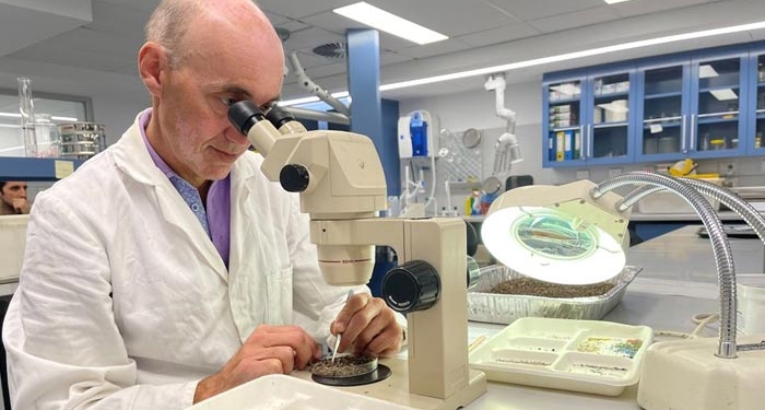 Scientists discover molecules that can repair damaged cells, reverse ageing