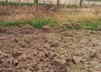Smuggling bid foiled, intruder injured along IB in Samba: BSF