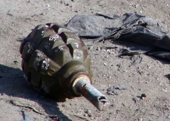 A Grenade Attack Was Reported Yesterday Night, Police Personnel Killed