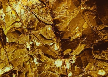 Discovery Of Huge Gold And Copper Deposits In Madina