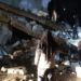 Turkey Earthquake LIVE: 23 dead, 420 injured, 140 buildings collapsed