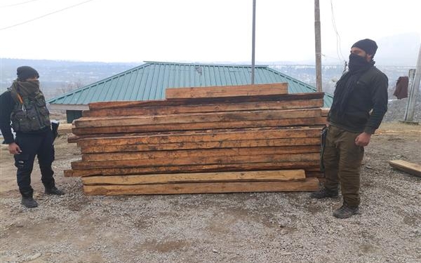 Handwara Police seizes illicit timber, case registered