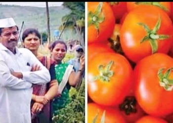 Farmer becomes millionaire in a month by selling tomatoes