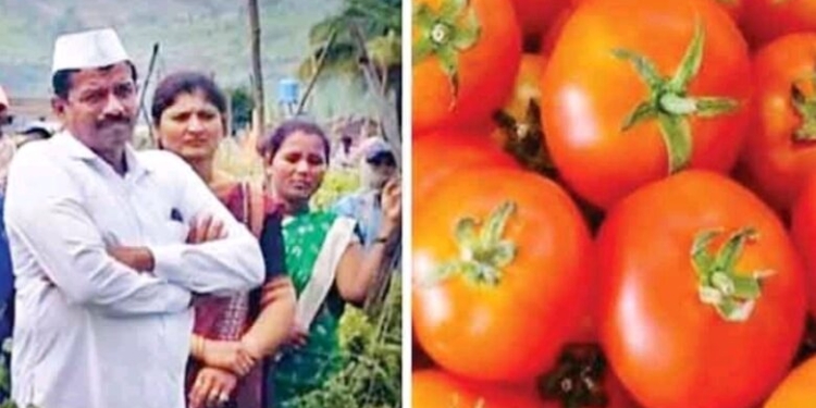 Farmer becomes millionaire in a month by selling tomatoes