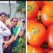 Farmer becomes millionaire in a month by selling tomatoes