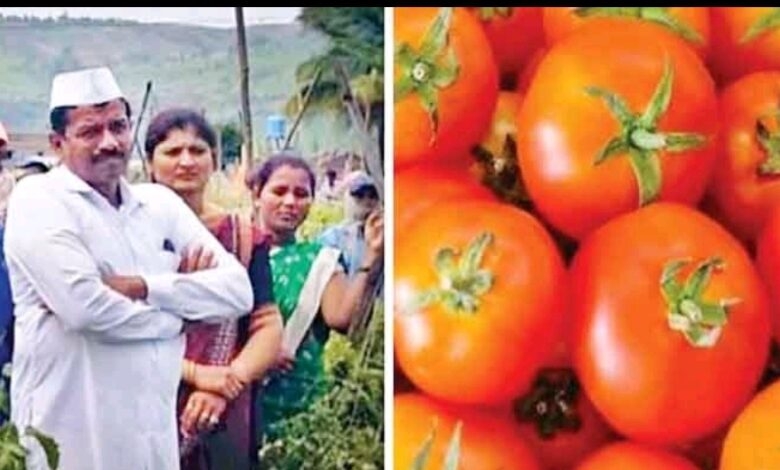 Farmer becomes millionaire in a month by selling tomatoes