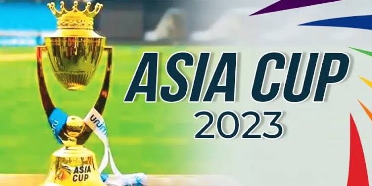 Cricket fans around the world are eagerly waiting to see who will face India in the final