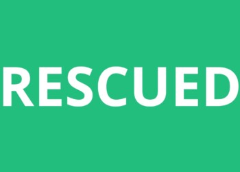 Stranded German Tourist Rescued……..