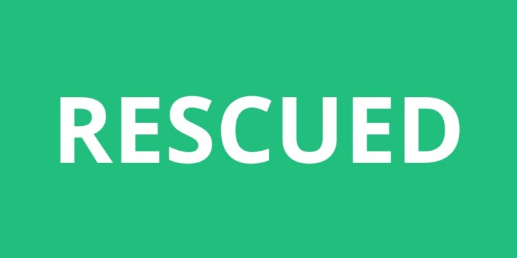Stranded German Tourist Rescued……..