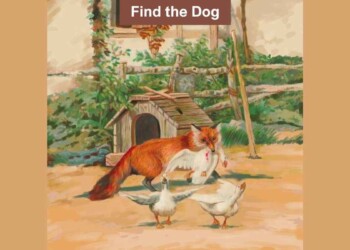 You have 6/6 vision if you can find the hidden dog in the image in 7 seconds!