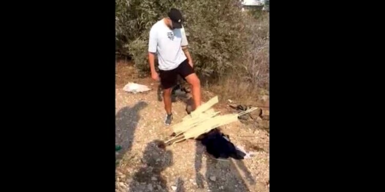 Israel-Hamas war: Shocking video of Israelis urinating on dead Palestinians surfaces on internet
