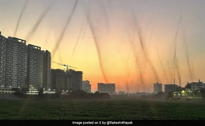 ‘Mosquito Tornado’ over Pune cause panic among residents