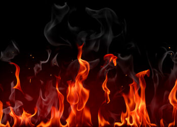 Blaze Engulfs Forest Area in Bandipora, Rescue Operation Underway