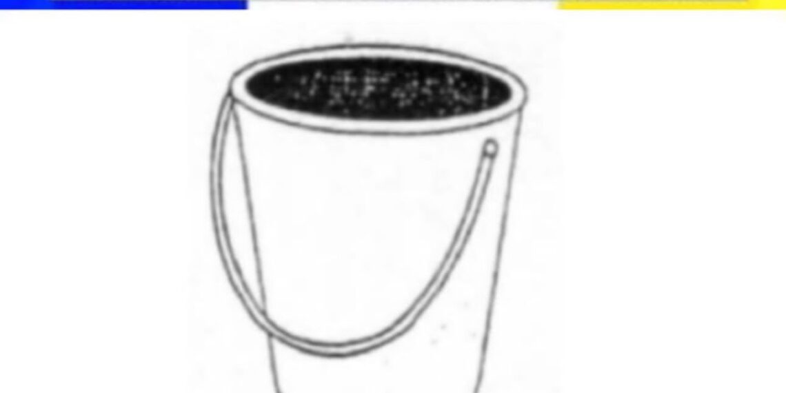 ECI allots ‘Bucket’ symbol to DPAP for Lok Sabha polls