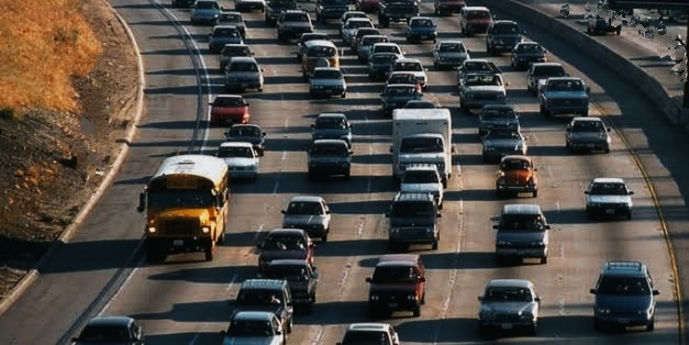 Tulip Festival: Srinagar Traffic Police Issues Route Advisory