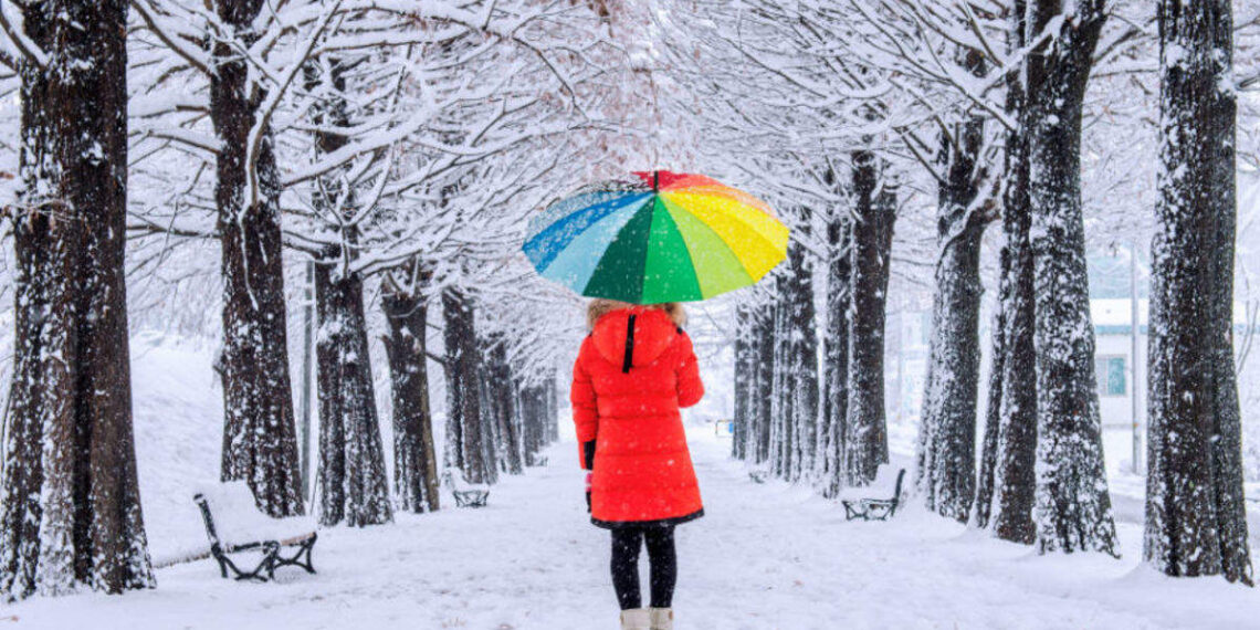 Himachal Pradesh receives fresh snowfall, multiple roads closed for vehicular movement