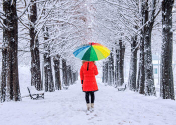 Himachal Pradesh receives fresh snowfall, multiple roads closed for vehicular movement