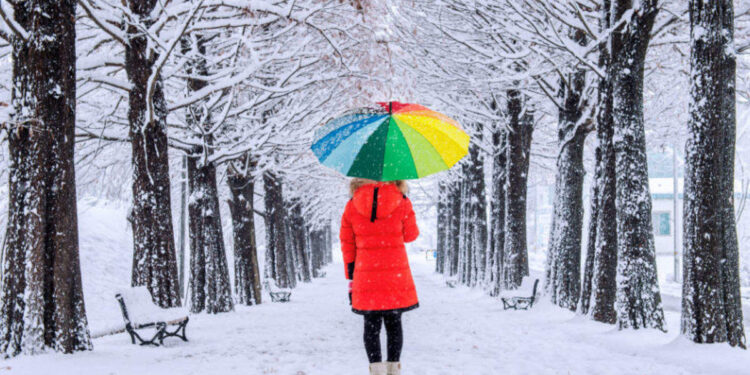 Himachal Pradesh receives fresh snowfall, multiple roads closed for vehicular movement