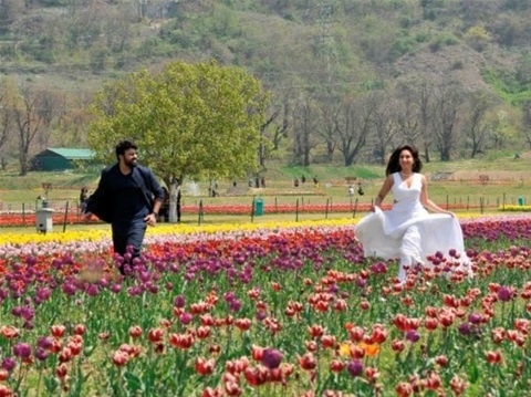 Asia’s largest Tulip garden set to charm tourists from next week